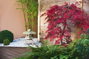 Des plantes vertes mettent en valeur une terrasse en bois